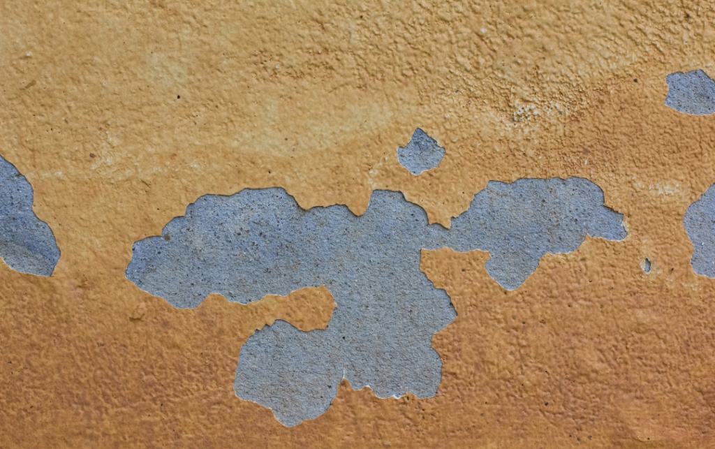 How Often Should You Paint a House in Florida
