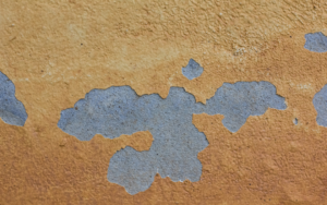 How Often Should You Paint a House in Florida